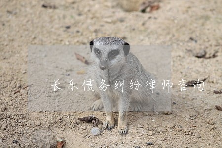 长乐债务纠纷律师咨询 长乐债务纠纷律师咨询