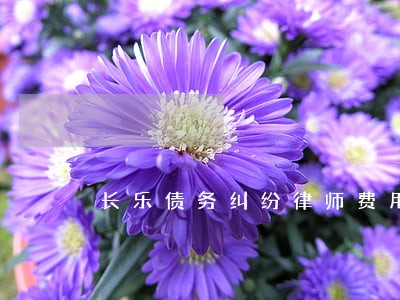 长乐债务纠纷律师费用收取标准