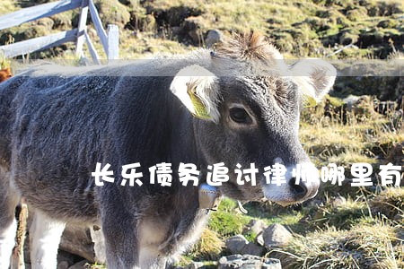 长乐债务追讨律师哪里有 长乐债务追讨律师哪里有