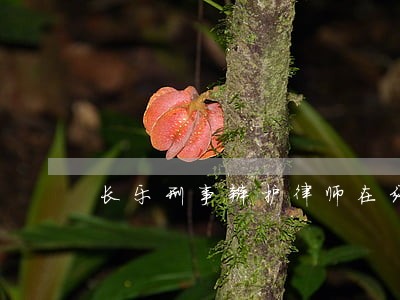 长乐刑事辩护律师在线咨询 长乐刑事辩护律师在线咨询