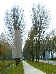 长乐房屋遗产继承律师 长乐房屋遗产继承律师