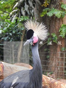 长乐法院曝光失信被执行人名单