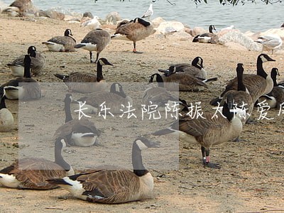 长乐法院陈振太陈爱凤 长乐法院陈振太陈爱凤