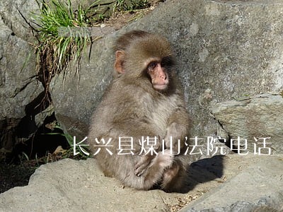 长兴县煤山法院电话 长兴县煤山法院电话