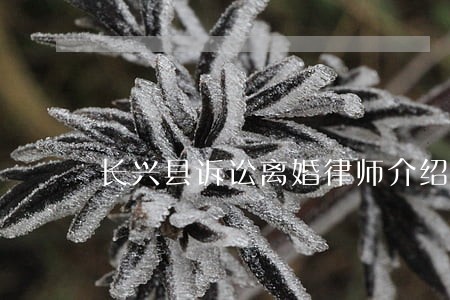 长兴县诉讼离婚律师介绍 长兴县诉讼离婚律师介绍