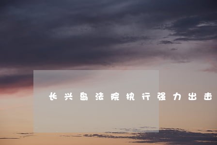 长兴岛法院执行强力出击 长兴岛法院执行强力出击