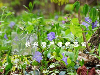 长兴房产律师咨询 长兴房产律师咨询
