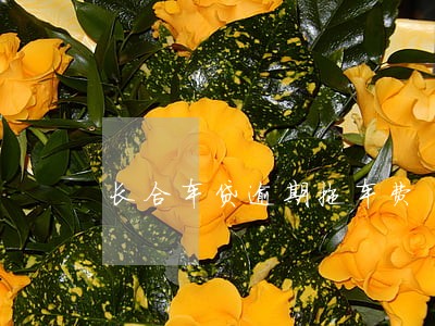 长合车贷逾期拖车费 长合车贷逾期拖车费