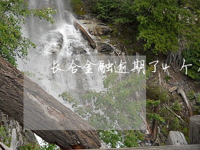 长合金融逾期了4个月 长合金融逾期了4个月