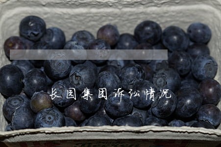长园集团诉讼情况 长园集团诉讼情况