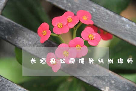 长垣县公司债务纠纷律师 长垣县公司债务纠纷律师
