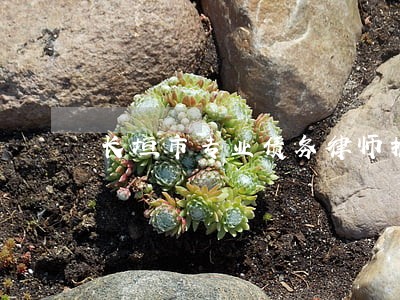 长垣市专业债务律师推荐 长垣市专业债务律师推荐
