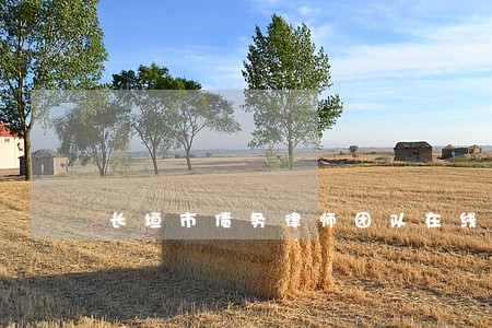长垣市债务律师团队在线咨询 长垣市债务律师团队在线咨询