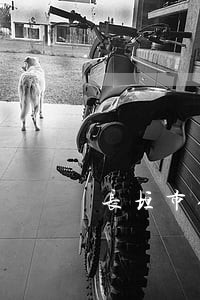 长垣市债务风险代理律师哪家强 长垣市债务风险代理律师哪家强