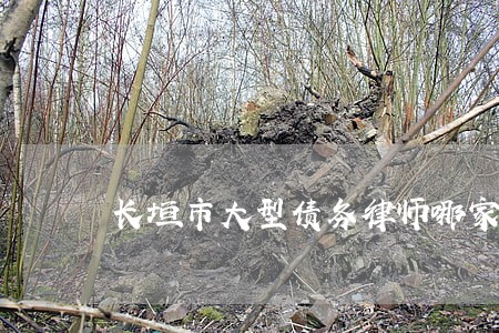长垣市大型债务律师哪家强 长垣市大型债务律师哪家强