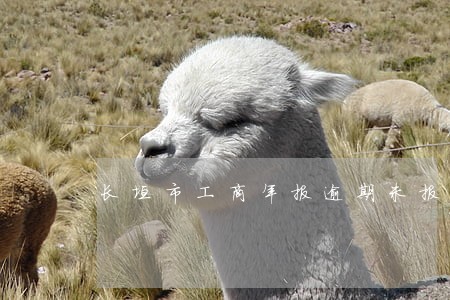 长垣市工商年报逾期未报怎么解决 长垣市工商年报逾期未报怎么解决