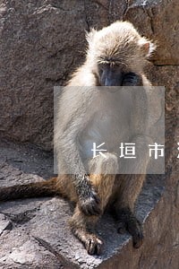 长垣市法律援助中心人员 长垣市法律援助中心人员