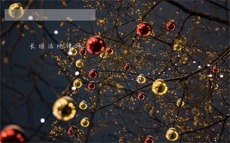 长垣法院律师
