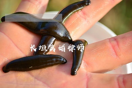 长垣离婚律师 长垣离婚律师