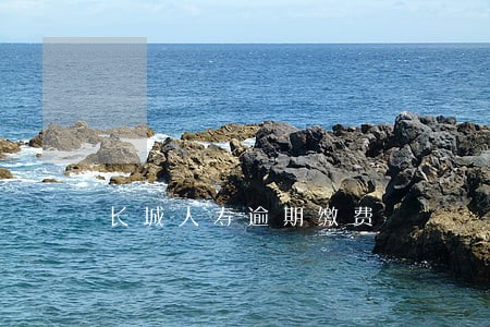 长城人寿逾期缴费 长城人寿逾期缴费