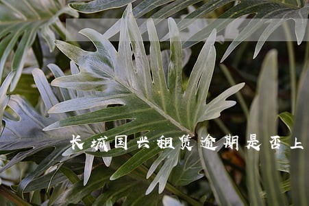 长城国兴租赁逾期是否上征信