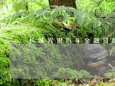 长城宾银汽车金融贷款逾期一天 长城宾银汽车金融贷款逾期一天