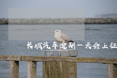 长城汽车逾期一天会上征信吗