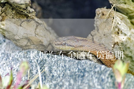 长城汽车金融车贷逾期