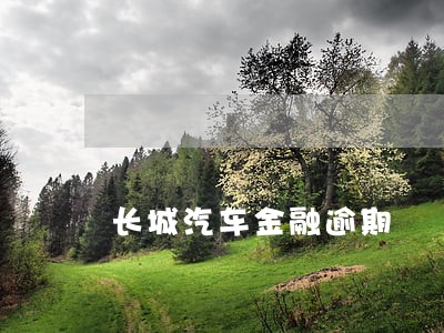 长城汽车金融逾期