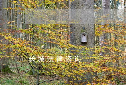 长城法律咨询 长城法律咨询