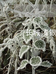 长城滨银逾期三个月