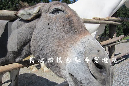 长城滨银金融车贷逾期 长城滨银金融车贷逾期