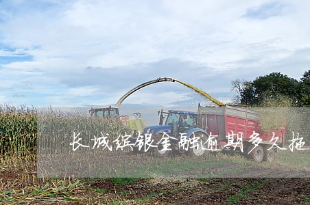 长城缤银金融逾期多久拖车