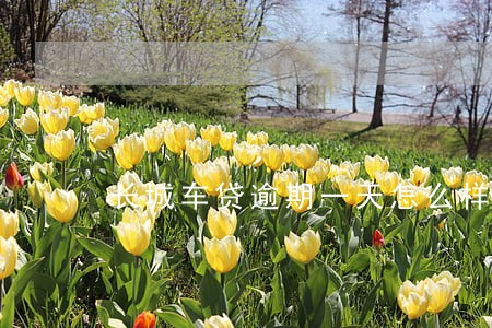 长城车贷逾期一天怎么样 长城车贷逾期一天怎么样