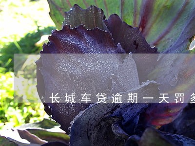 长城车贷逾期一天罚多少
