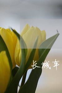 长城车贷逾期多久会拖车 长城车贷逾期多久会拖车