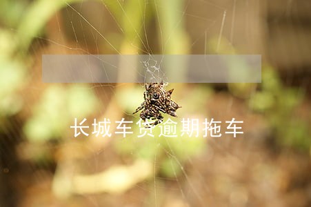 长城车贷逾期拖车