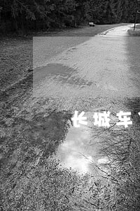 长城车贷金融逾期一天后果 长城车贷金融逾期一天后果