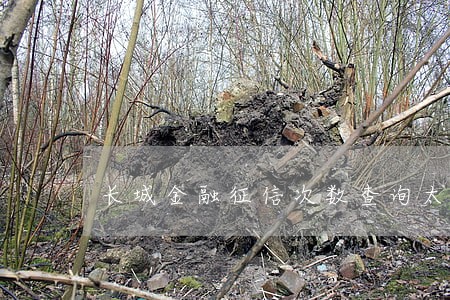 长城金融征信次数查询太多没逾期 长城金融征信次数查询太多没逾期