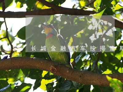 长城金融汽车按揭逾期多久收车 长城金融汽车按揭逾期多久收车