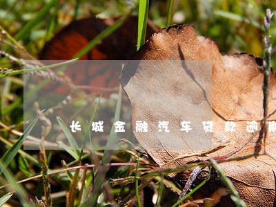 长城金融汽车贷款逾期一个月