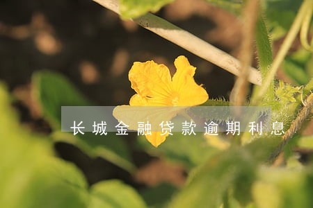 长城金融贷款逾期利息 长城金融贷款逾期利息