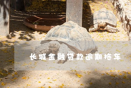 长城金融贷款逾期拖车 长城金融贷款逾期拖车