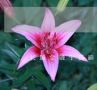 长城金融车贷逾期两天 长城金融车贷逾期两天