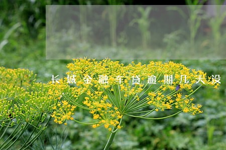 长城金融车贷逾期几天没事 长城金融车贷逾期几天没事