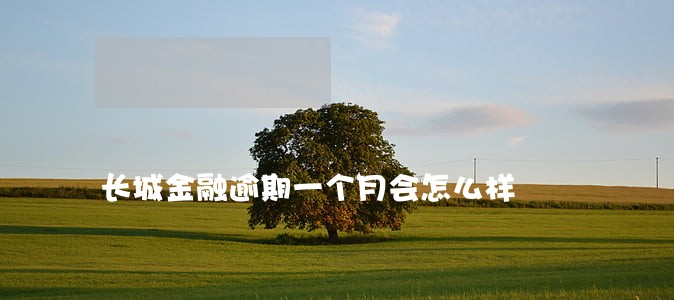 长城金融逾期一个月会怎么样 长城金融逾期一个月会怎么样