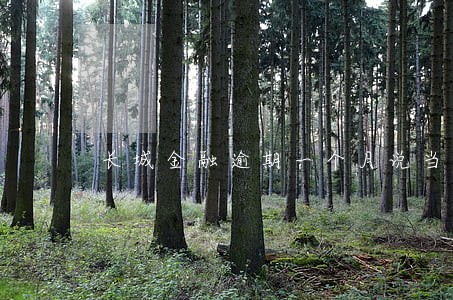长城金融逾期一个月说当面 长城金融逾期一个月说当面