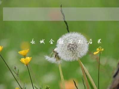 长城金融逾期后果 长城金融逾期后果
