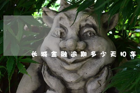 长城金融逾期多少天扣车 长城金融逾期多少天扣车