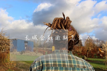 长城金融逾期怎么办 长城金融逾期怎么办